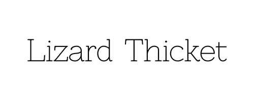 lizard thicket_featured image lizard thicket logo